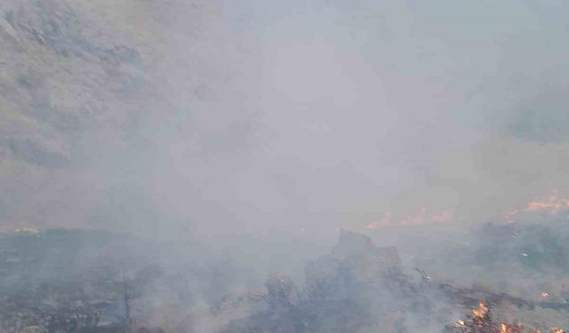 Van'da anız yangını
