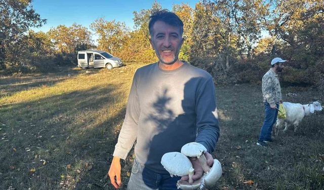 Ormanlarda mantar patlaması yaşandı