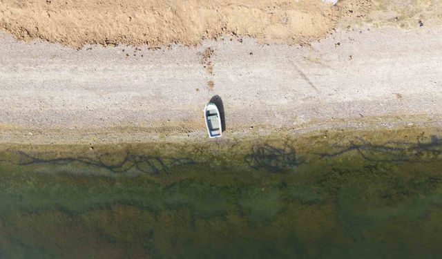 Kuraklık riski büyüyor, çiftçiden uyarı: "Suyu dikkatli kullanmazsak ekmeğimizi kaybederiz"