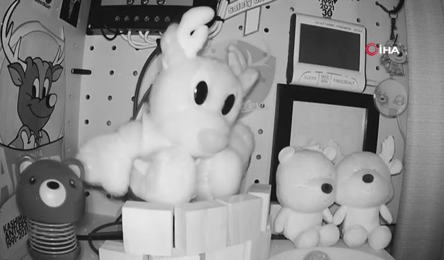 Japonya'da 6,7 büyüklüğünde deprem: Tsunami uyarısı yapıldı