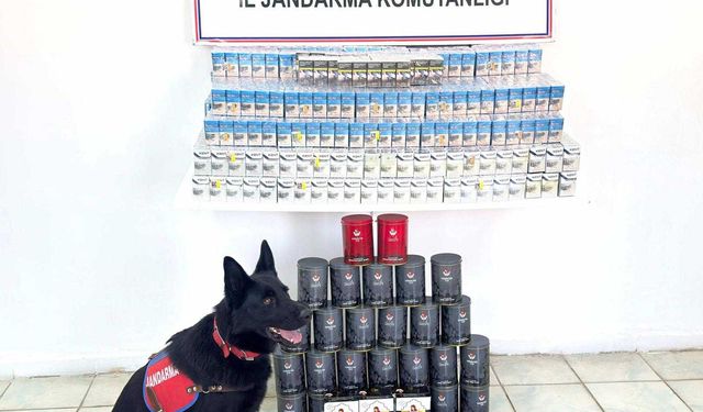 Van Erciş’te 2 bin 590 paket kaçak sigara ele geçirildi