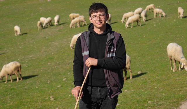 Şehir hayatını bırakıp baba ocağına döndü: Genç mezun şimdi sürü sahibi