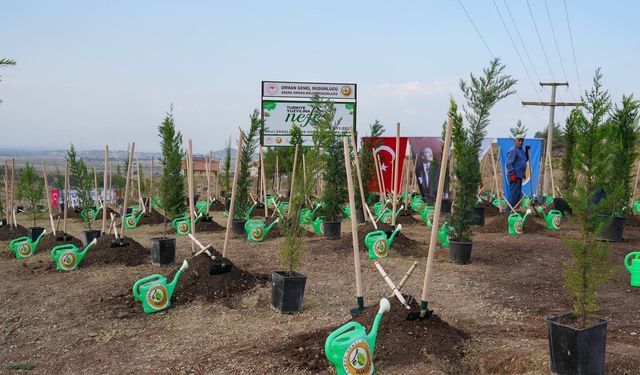 Van'da fidan dikim etkinliği yapılacak