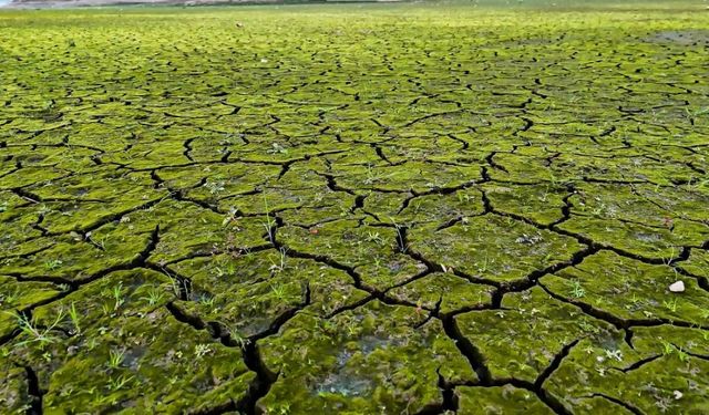 Mega kentte endişelendiren görüntü: Kuraklığın izleri havadan görüntülendi