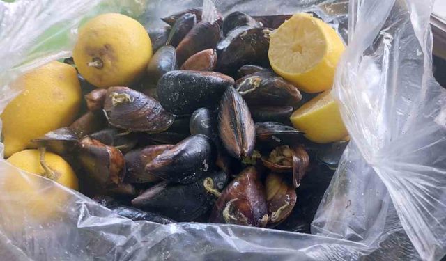 Aydın'da Gıda Hattı’na gelen ihbar ekipleri harekete geçirdi