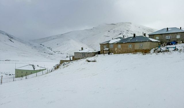 Başkale’de kar yağışı etkili oldu