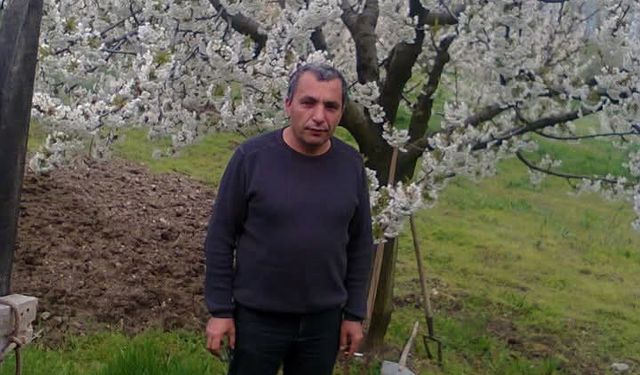 Bursa'da budadığı ağaçtan düşen adam hayatını kaybetti