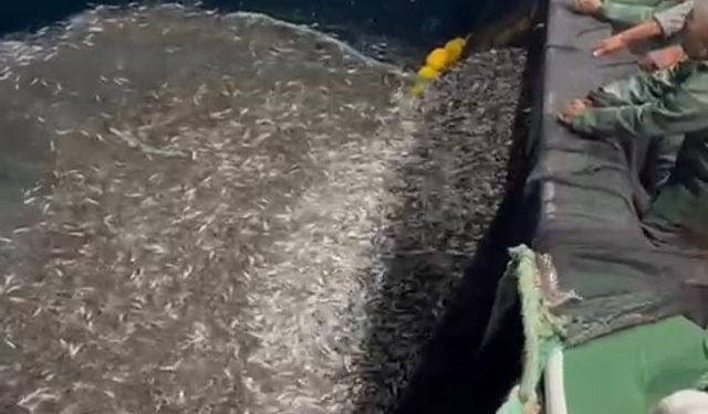 Çanakkale’de balıkçılardan örnek davranış