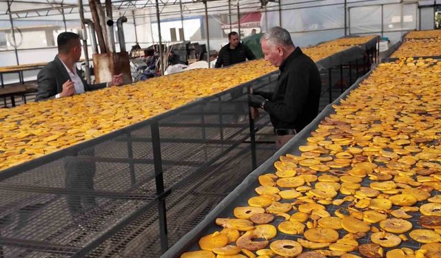 Cennet hurması bu kez cips olarak damakları şenlendirecek