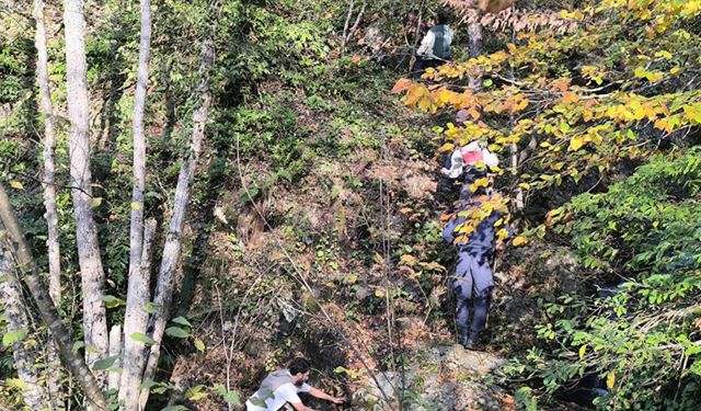 Kayıp annenin cesedini kuzgunu takip eden vatandaşlar bulmuş