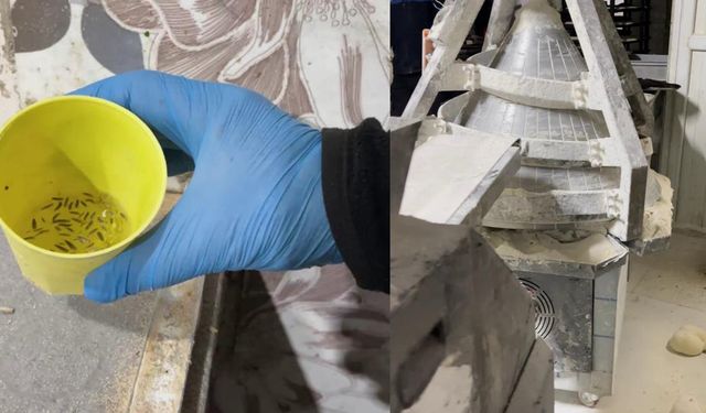 Fırın denetiminde mide bulandıran görüntüler