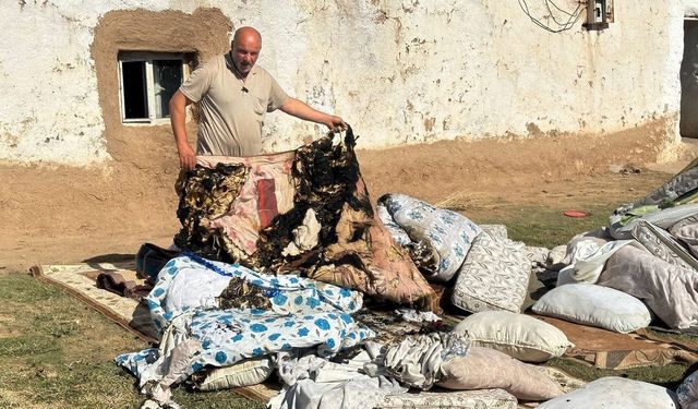 Gizemli Yangınlar Aileyi Sokakta Bıraktı: Her Girdikleri Ev Yanıyor!