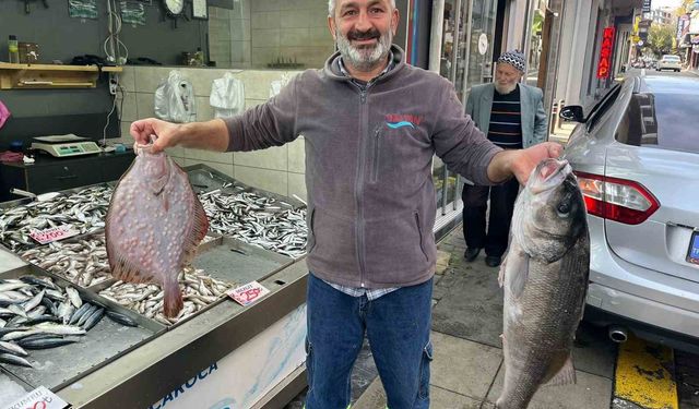 Kilosu bin liradan tezgaha indi, ilgi odağı oldu