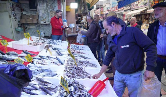 Tezgahlarda hamsi bolluğu