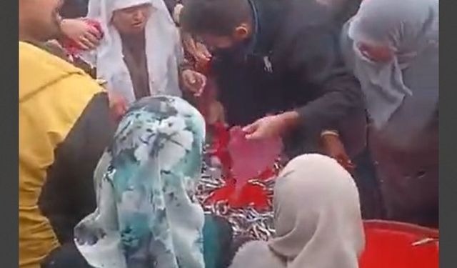 Ücretsiz hamsi dağıtımı vatandaşlar tarafından yoğun ilgi gördü