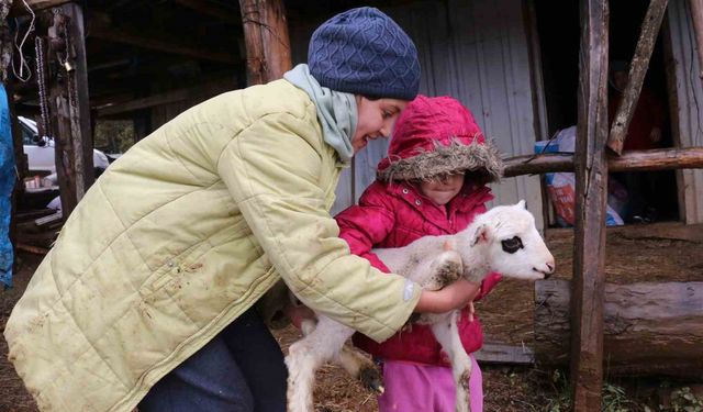 Yaylalardan köylere göç başladı