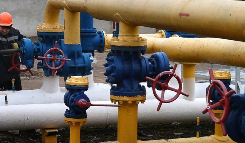 Avrupa Rus gazını tamamen yasaklıyor