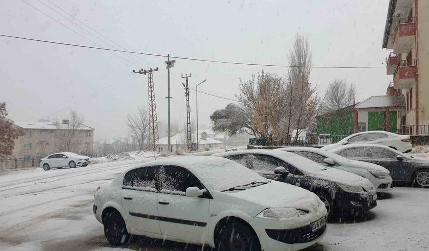Van Başkale'de kar yağışı etkili oldu