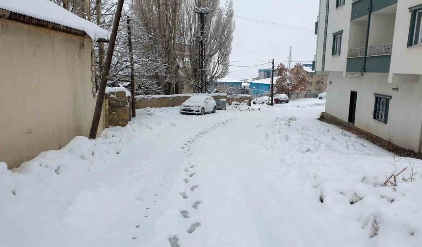 Başkale'de heryer beyaza büründü