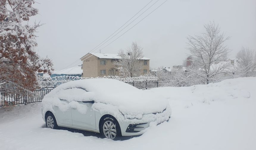 Başkale beyaza büründü: 11 yerleşim yeri yolu kapandı