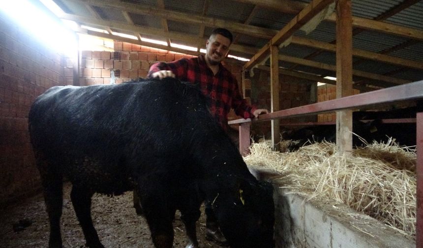 “Robot olacağıma çoban olurum” deyip memleketine döndü