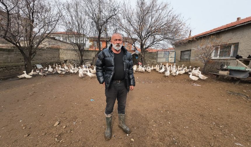 Memleketine döndü, binlerce hayvan üreterek geçimini sağlıyor