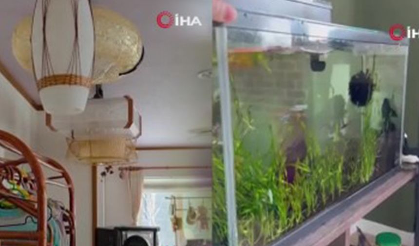 Japonya’da 6.7 Büyüklüğünde Deprem: Tsunami Uyarısı Yapıldı