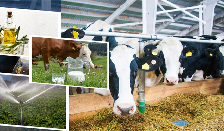 Çiftçilere 2 milyar 5 milyon liralık tarımsal destek