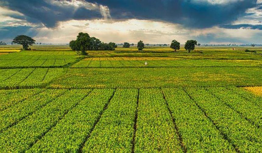 Çiftçilere 1 milyar 46 milyon liralık tarımsal destek