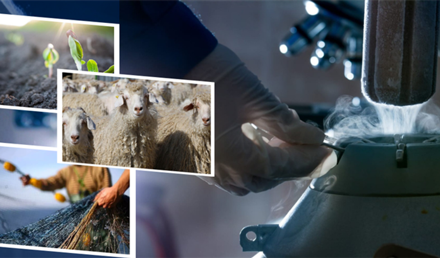 Çiftçilere 1.1 milyar liralık destekleme ödemesi