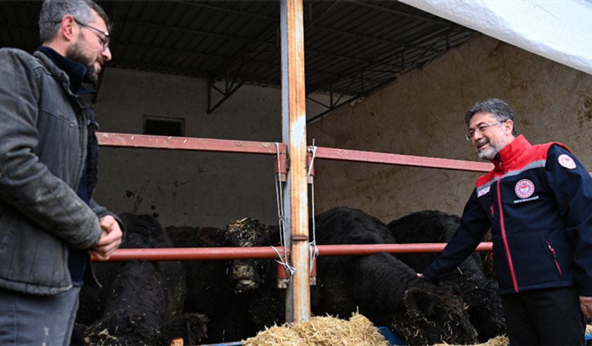 Hayvancılığa destek projesi meyvelerini vermeye başladı