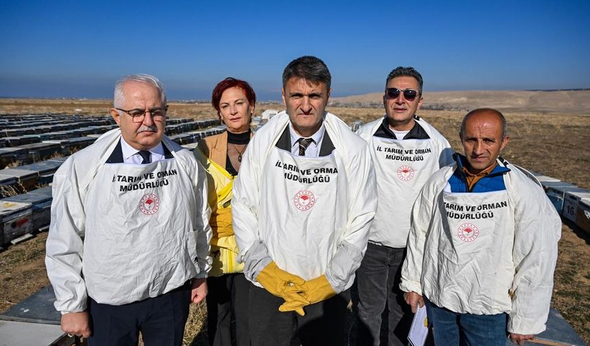 Gürpınar’ın Norduz Bölgesinden Gelen Gurur: Altın Madalyalı Bal