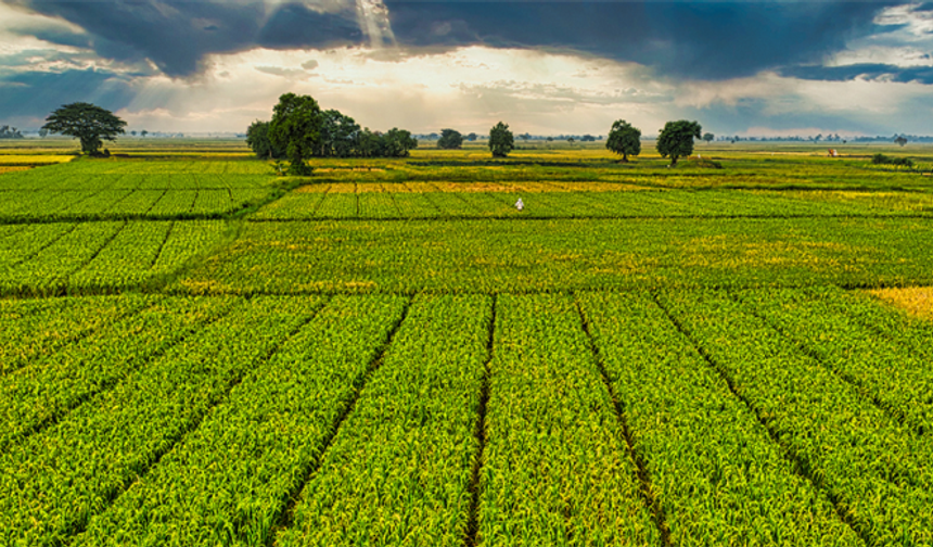 IPARD-III kapsamında 156 Yerel Eylem Grubuna 2,2 milyar TL hibe