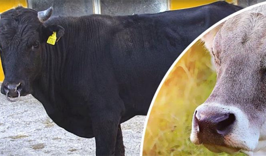 Islah projelerine 2,7 milyar TL destek sağlandı