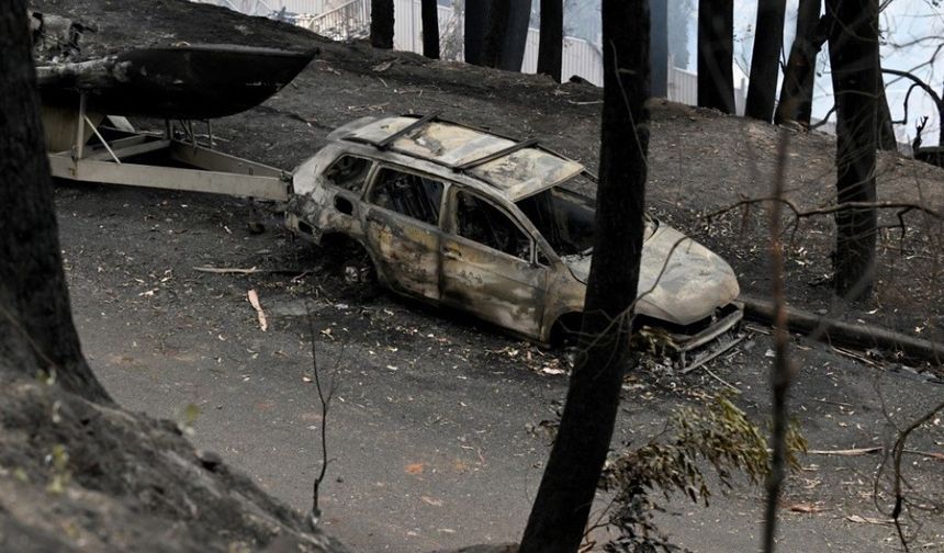 Avustralya'da orman yangınları: 16 ev küle döndü