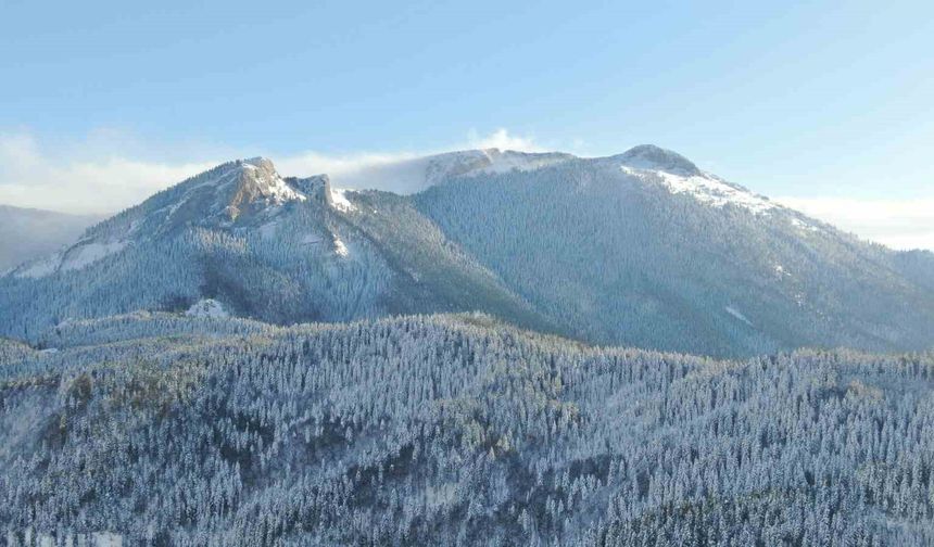 Bin 250 rakımlı Yaralıgöz Dağı beyaza büründü