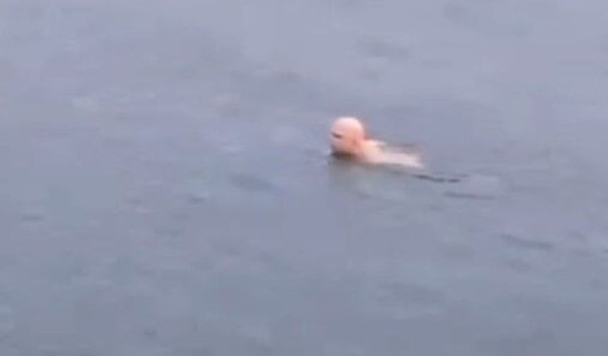 Dondurucu soğukta deniz keyfi