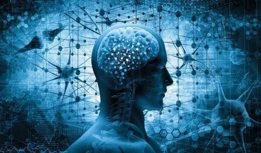 Nöroloji uzmanı uyardı: Beyin sisi hafife alınmamalı