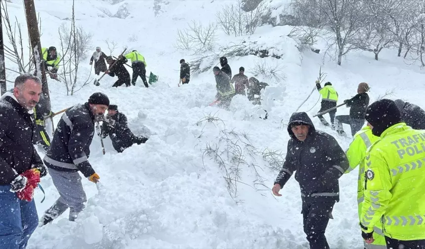 Van'ın Çatak ilçesine 24 saatte 6 çığ düştü