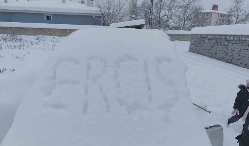 Erciş’te yoğun kar yağışı hayatı felç etti