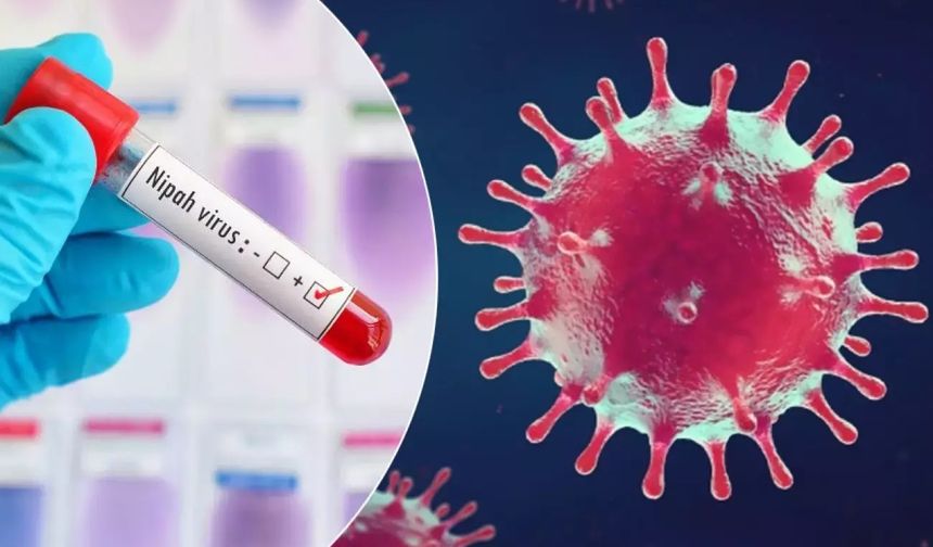 Profesör’den Nipah virüsü açıklaması