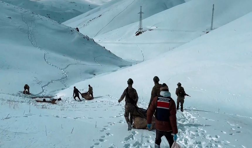 Van ve Hakkâri’de 406 kilogram uyuşturucu ele geçirildi