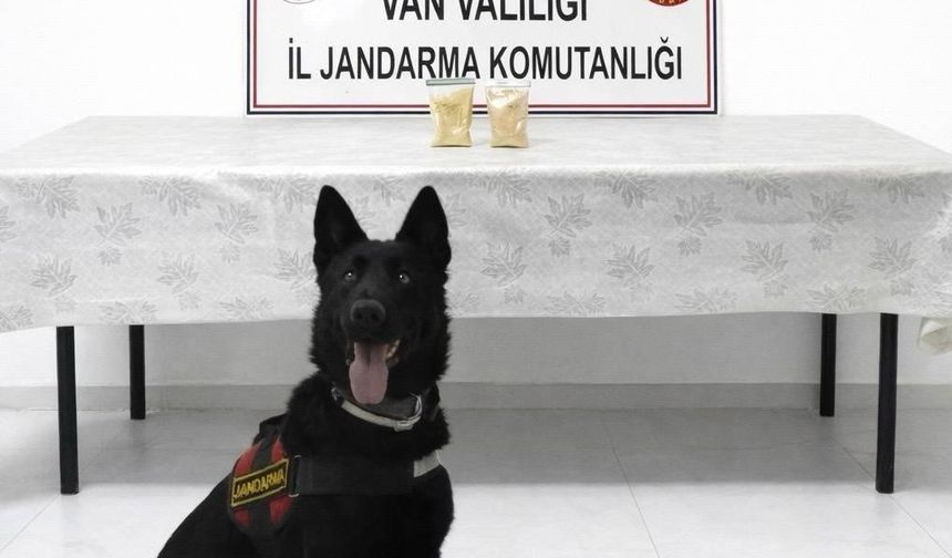 Van'ın Başkale ilçesinde 510 gram eroinle yakalandı
