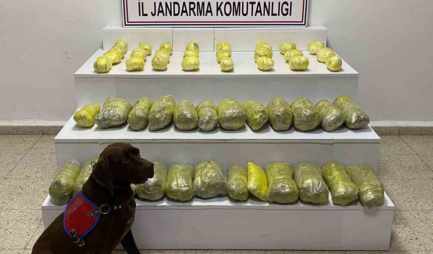 Van'da uyuşturucu operasyonu!