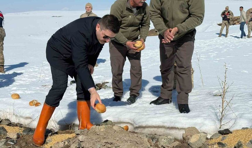 Van’ın Özalp ilçesinde doğaya yem bırakıldı