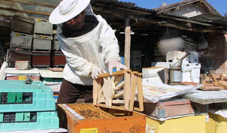 Bu Seçimde Kazananı Arılar Belirleyecek