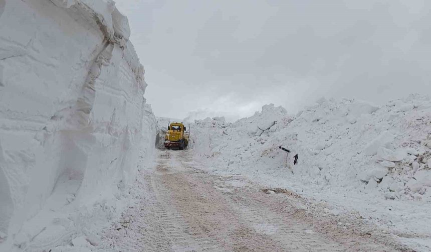 Türkiye-İran sınır hattında karla mücadele