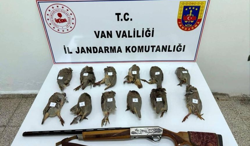 Van'da keklik avlayan kişiye 81 bin TL ceza