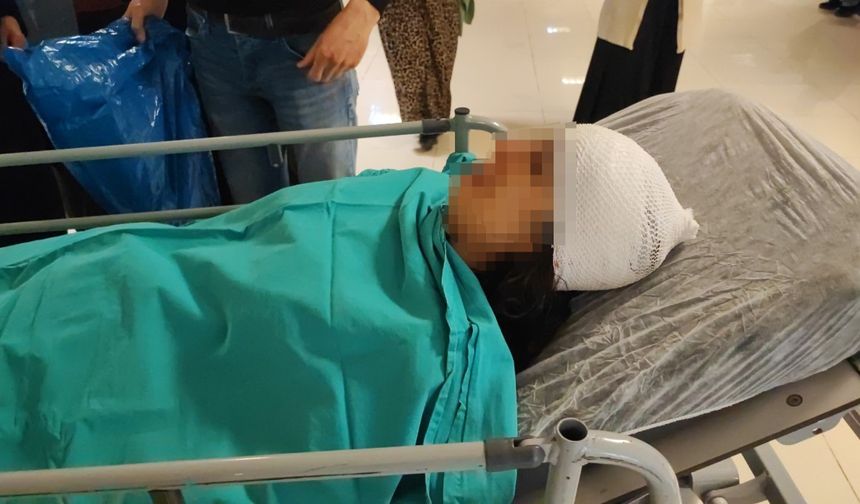 Sokak Köpeklerinin Saldırısına Uğrayan Genç Kız Yaralandı