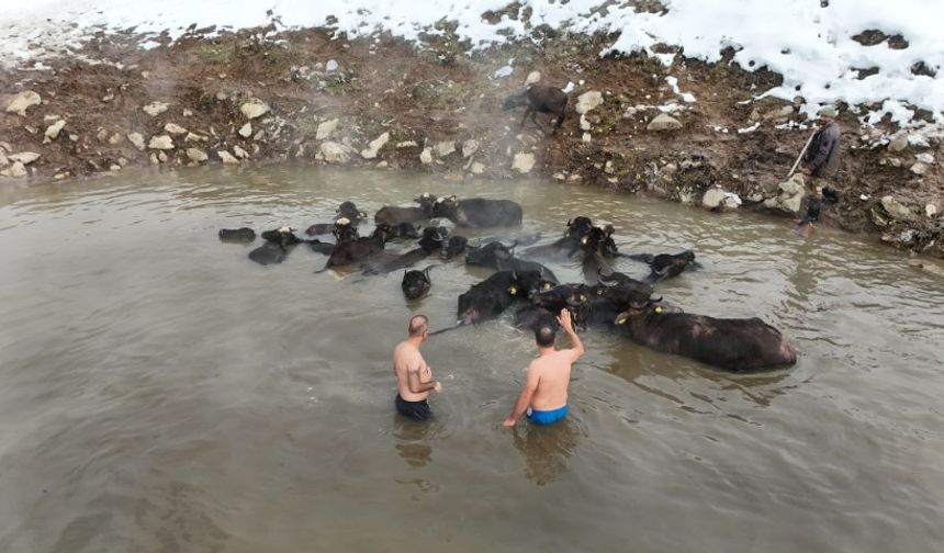 Eksi 25 derecede kaplıca keyfi